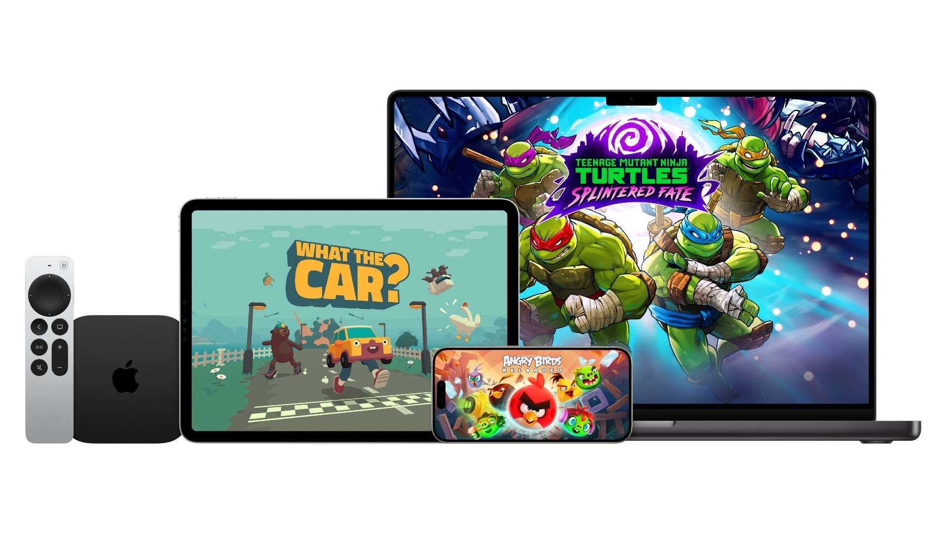 乐部执教 乐部执教