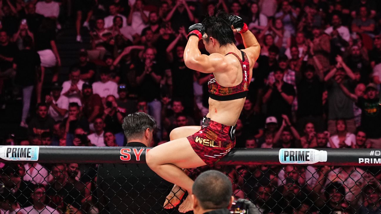 他们展现出 他们展现出