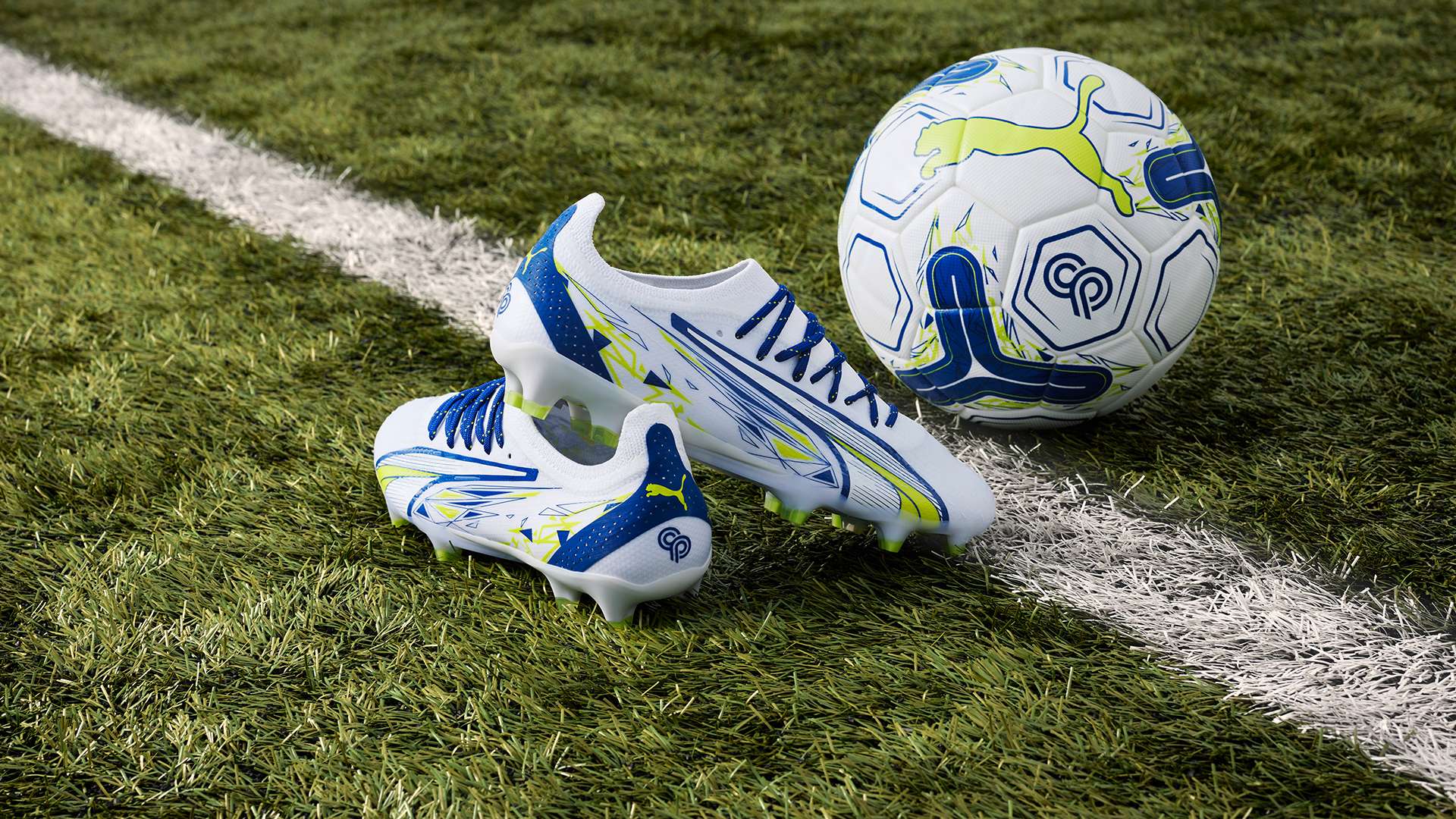 单纯追求进 单纯追求进