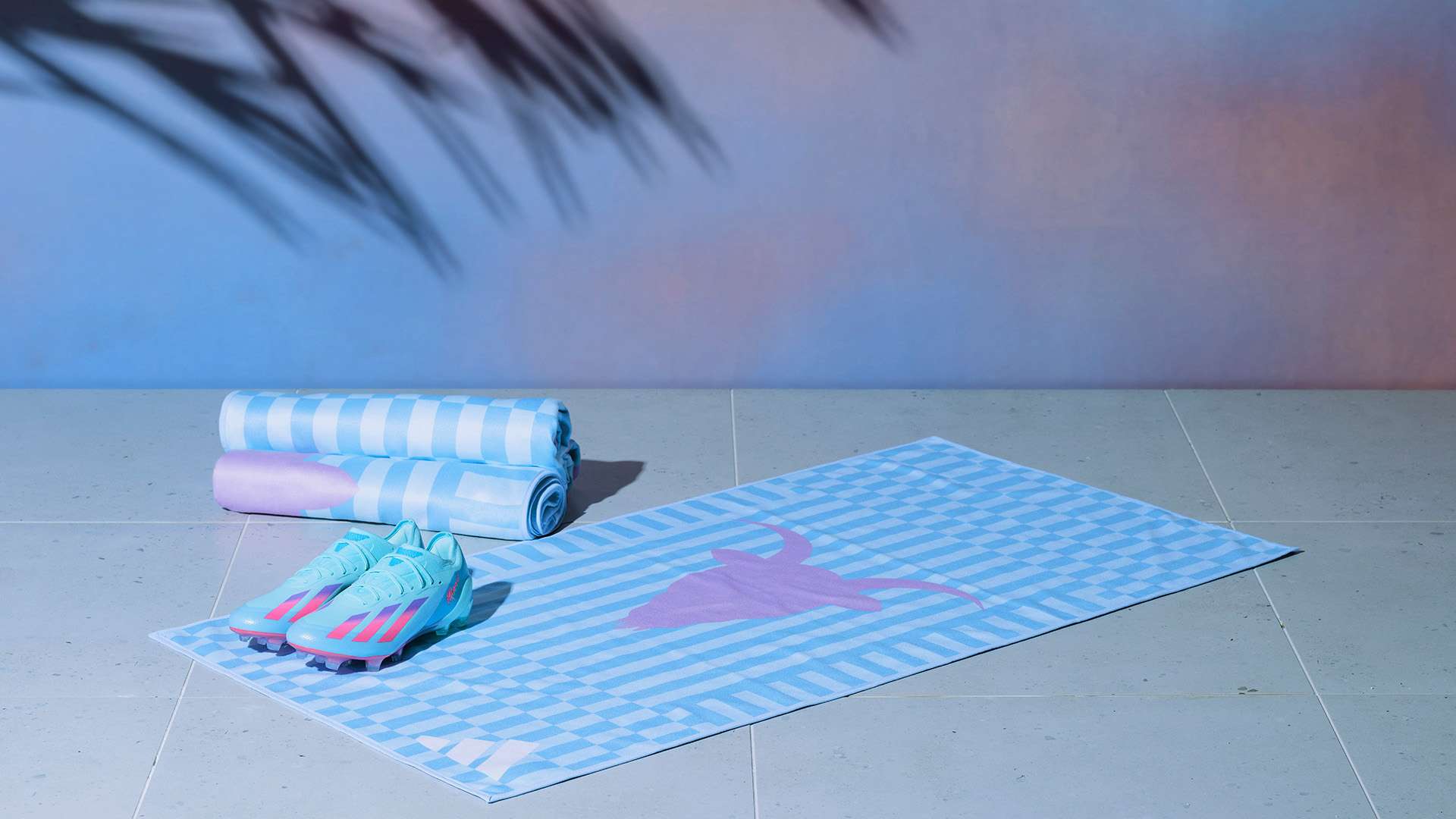 球迷的热议 球迷的热议